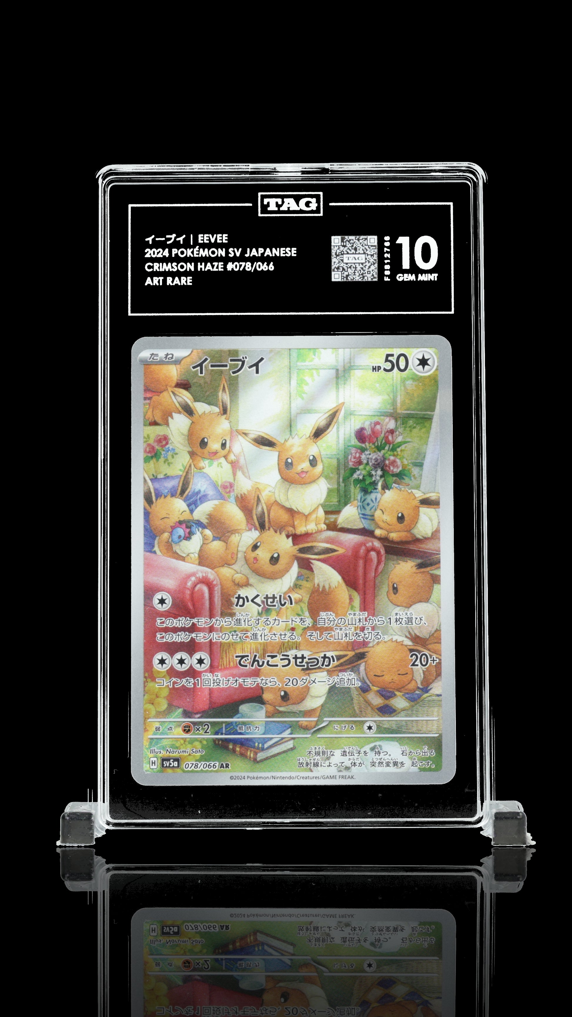 Eevee 10 GEM MINT Qd's cardshop Eevee 10 GEM MINT Qd's cardshop